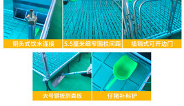 云浮豬場現(xiàn)代化養(yǎng)殖 從塑料地板到實木地板的保育欄革新